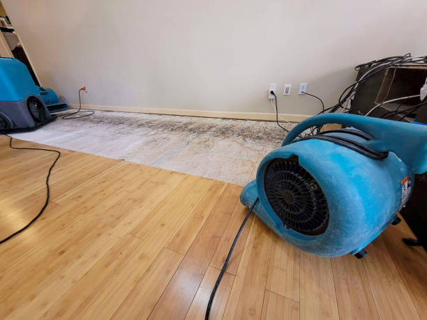Professional Water Extraction technician working in Ludington, MI